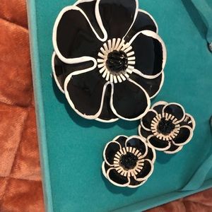 Vintage Enamel Broach and clip Earrings